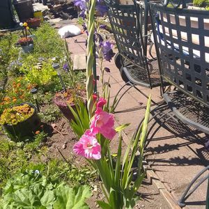 Meet your Posher, Gay